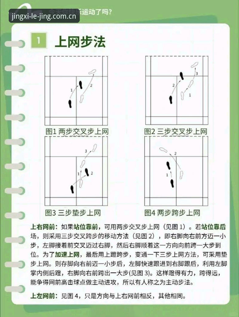 乐竞官方网站登录 乐竞体育官网使用完整指南:从入门到精通的新手教程