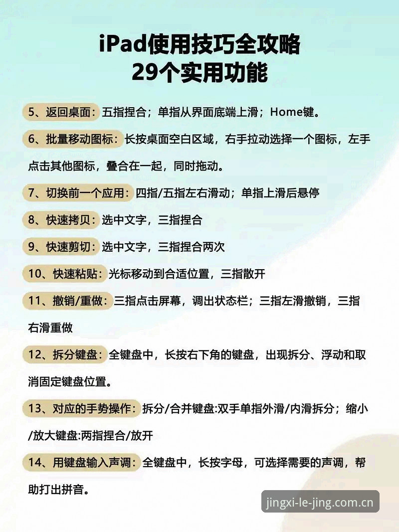 乐竞专业服务 解锁乐竞专业服务的五大实用技巧,快速掌握官方正版体验