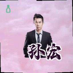 孙宏